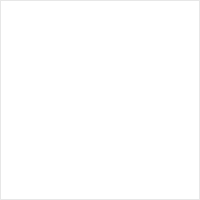 Sandisk
