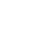 ZTE(Nubia)