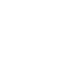 Tronica
