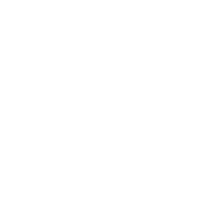 V-Guard