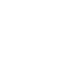 Fireboltt