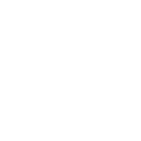 ICLEVER